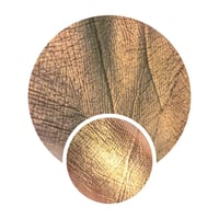 Image 1 of Multichrome 26mm Altair chameleon pressed pan reddish brown darkened olive gold