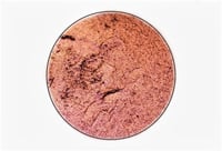 Image 4 of MULTICHROME Chandra chameleon 26mm pressed pan shimmery darkened orange to pink color