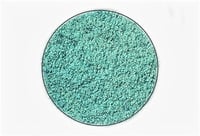 Image 4 of CONSTELLATION Collection Merope Multichrome chameleon