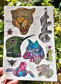 Image 3 of Temporary tattoo packs 