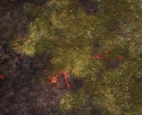 Image 3 of Strange Land -- #2290 -- 6'x4' plus