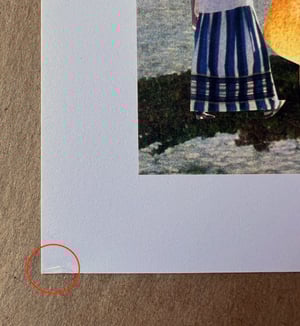 Image of The Family Acid LSD Desert Poster