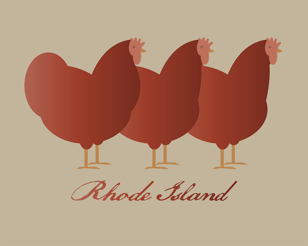 Rhode Island Red Collection