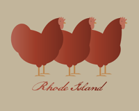 Image 2 of Rhode Island Red Collection
