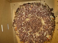 Image 3 of Whole, Loaded & Personal Pan Pound Cake