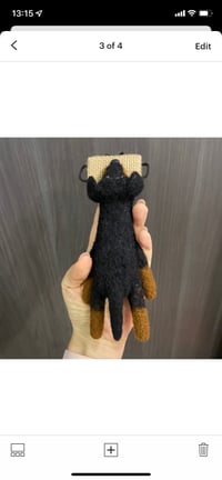 Image 4 of Felted Rottweiler