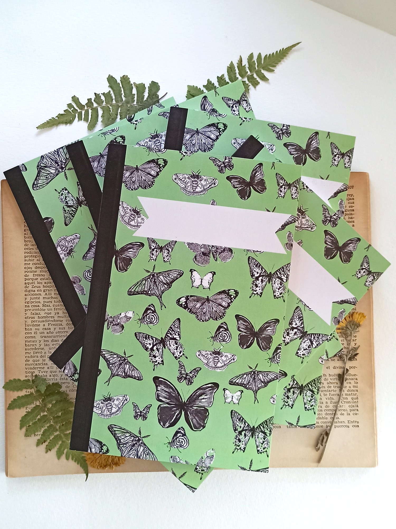 Image of Lepidopteras Notebook 