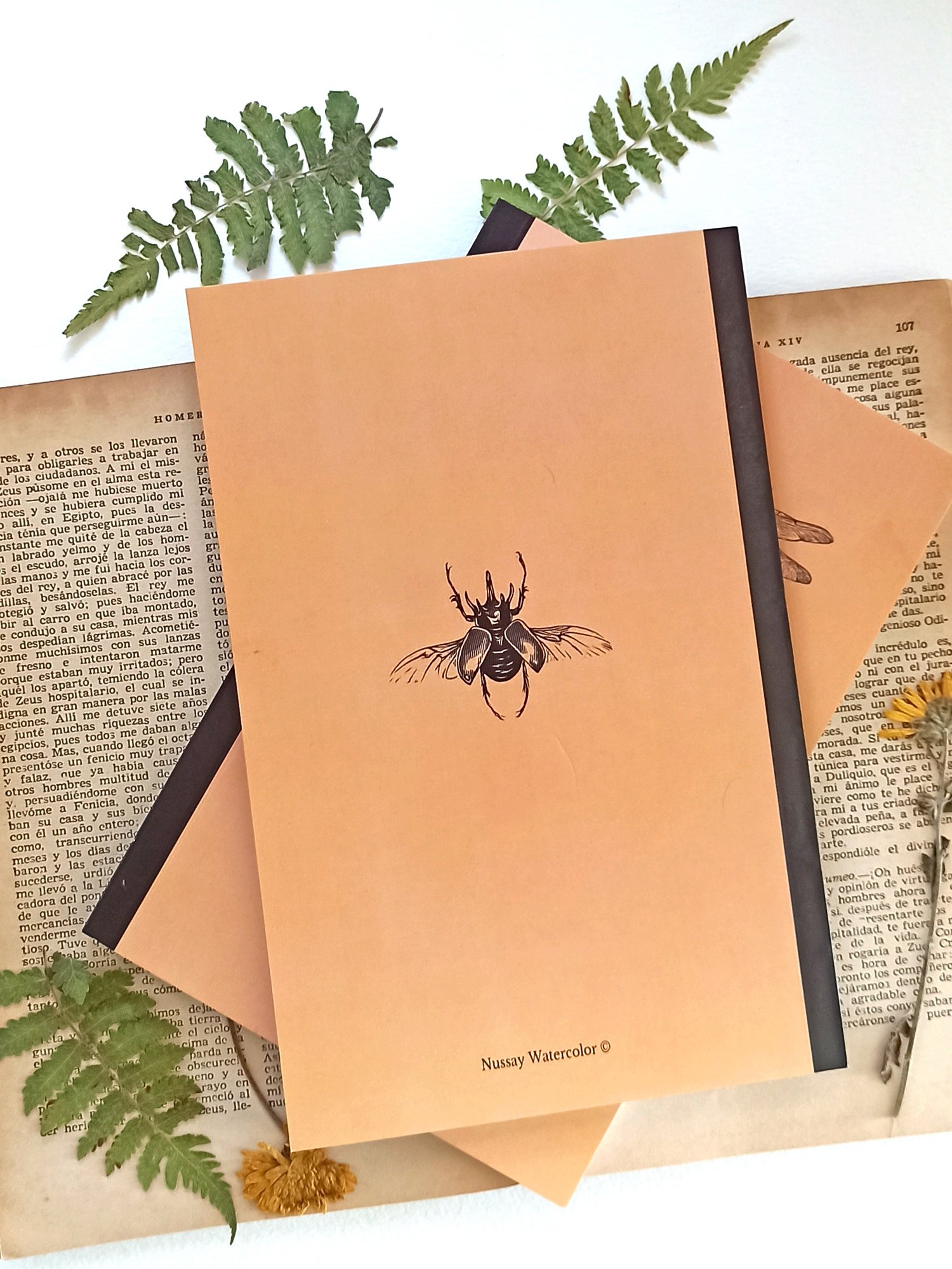 Image of Insect Notebook 