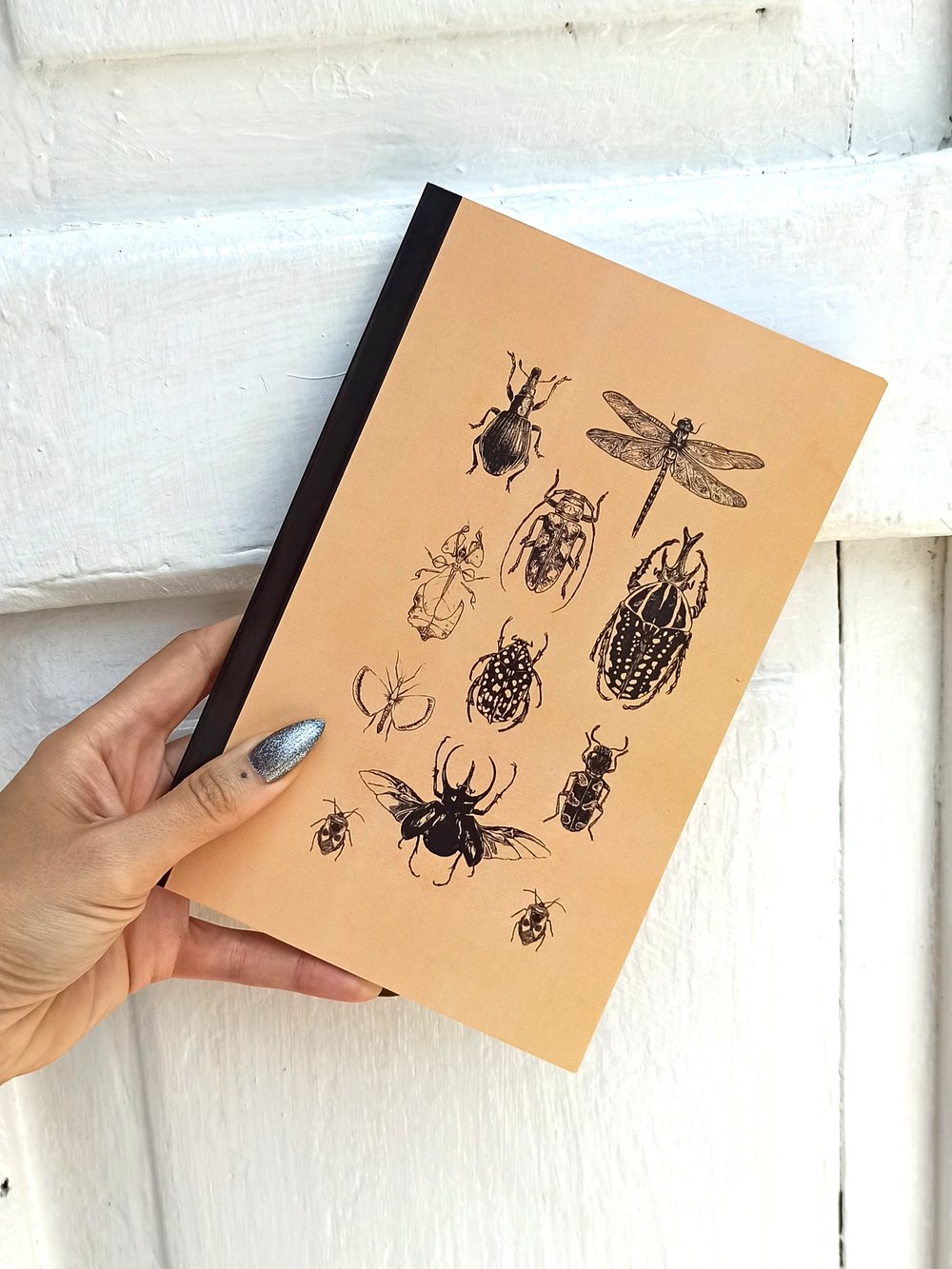 Image of Insect Notebook 