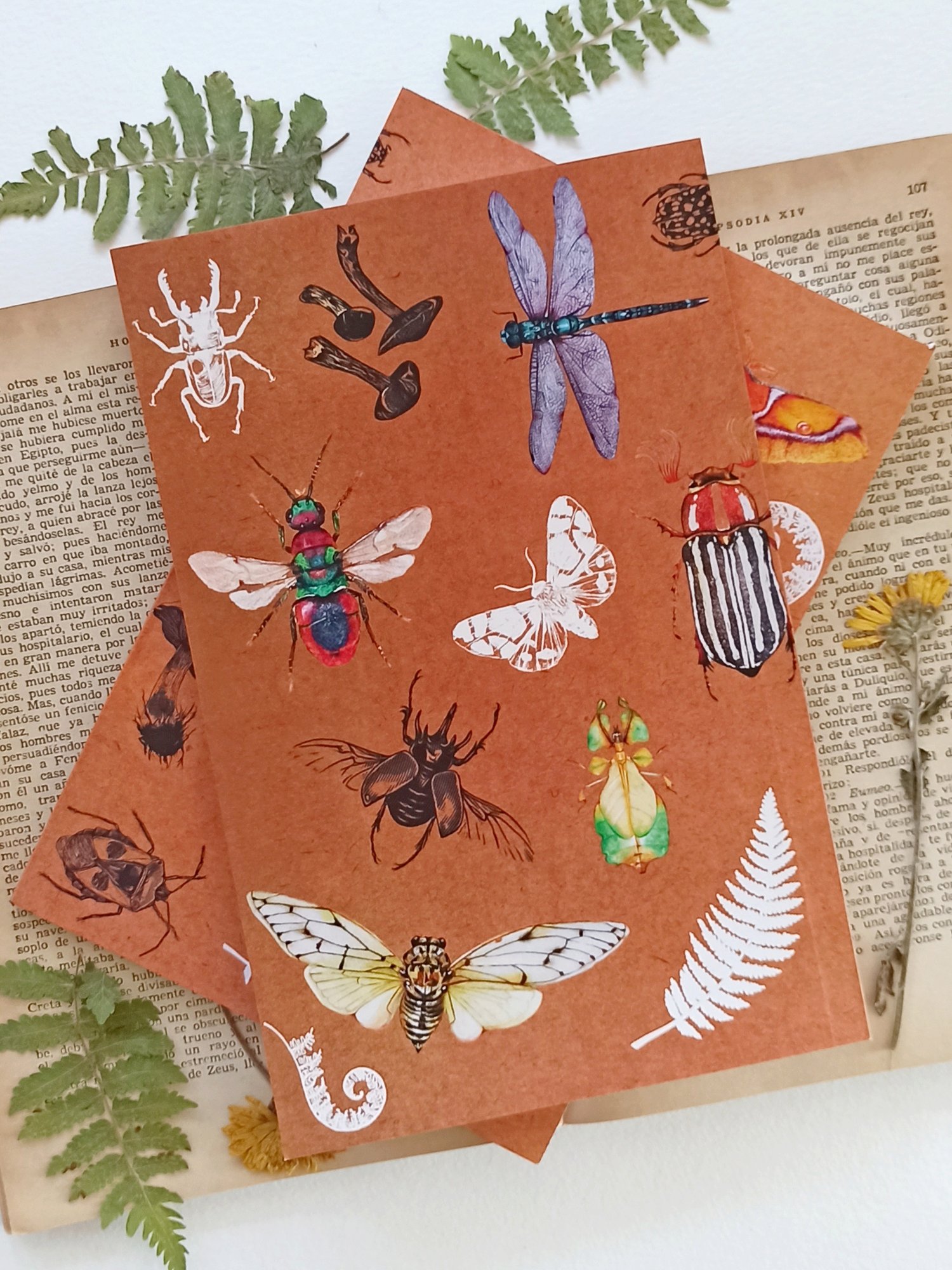 Image of Insect & Ferns Notebook 