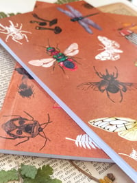 Image 3 of Insect & Ferns Notebook 