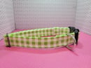 Image 2 of Dreaming in gingham