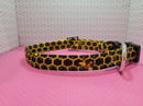Image 3 of Queen Bee