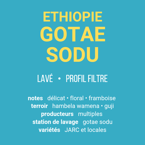 Image of Gotae Sodu - Ethiopie | FILTRE