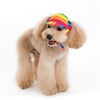 Pride Rainbow Hat - Dog/Cat
