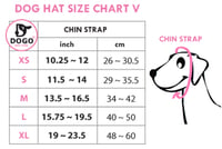 Image 3 of Pride Rainbow Bucket Hat - Dog/Cat