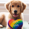 Love is Love - Pride Dog Toy