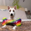 Equality Pride Plush Dog Bone