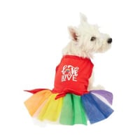 Image 1 of Love Dress Pride - Dog 