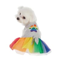 Image 1 of Pride Dress - Dog