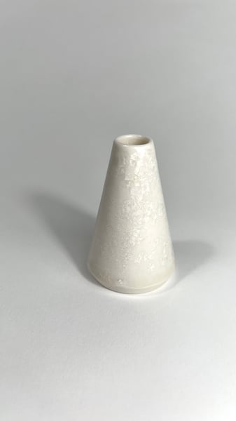 Image of Agnes in the Arctic (Vase - Bulk)