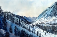 Bluebird on Snowbird