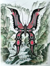 Eternal Butterfly 