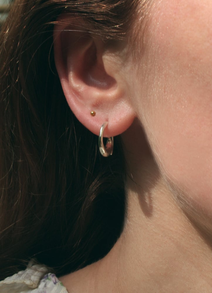Image of Spiral Earrings