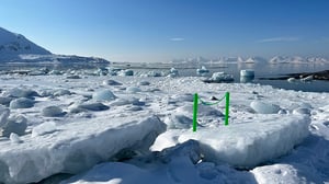 Image of Agnes in the Arctic: Oopsies in Dahlbrebukta (Print)