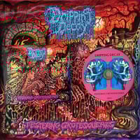 Dripping Decay - Festering Grotesqueries Digipack CD