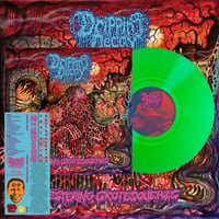 Image 1 of Dripping Decay - Festering Grotesqueries 12"