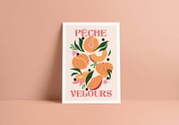 Pêche Velours