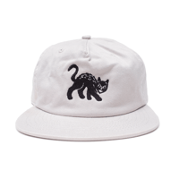 Arch Cat  Hats 