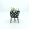 Checkered Planter 1