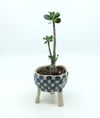 Checkered Planter 2