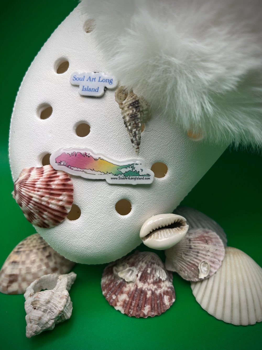 Image of Multi-Color Long Island Shoe Charm