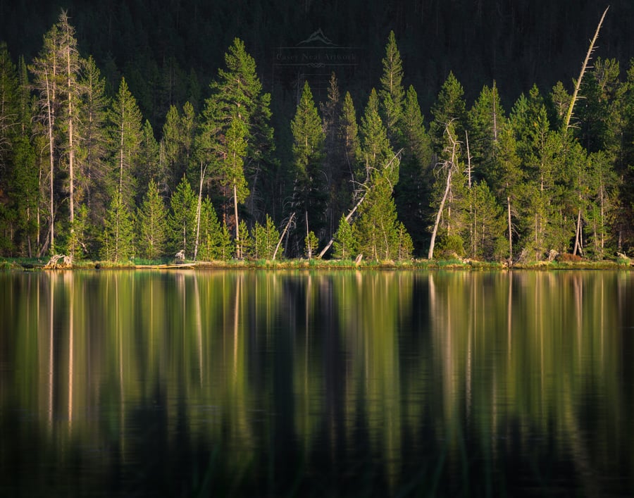 Image of Yellowstone Reflection