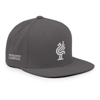 Image 2 of USoL - Snapback Hat