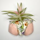 Image 2 of Wall-Hanging Funderwear