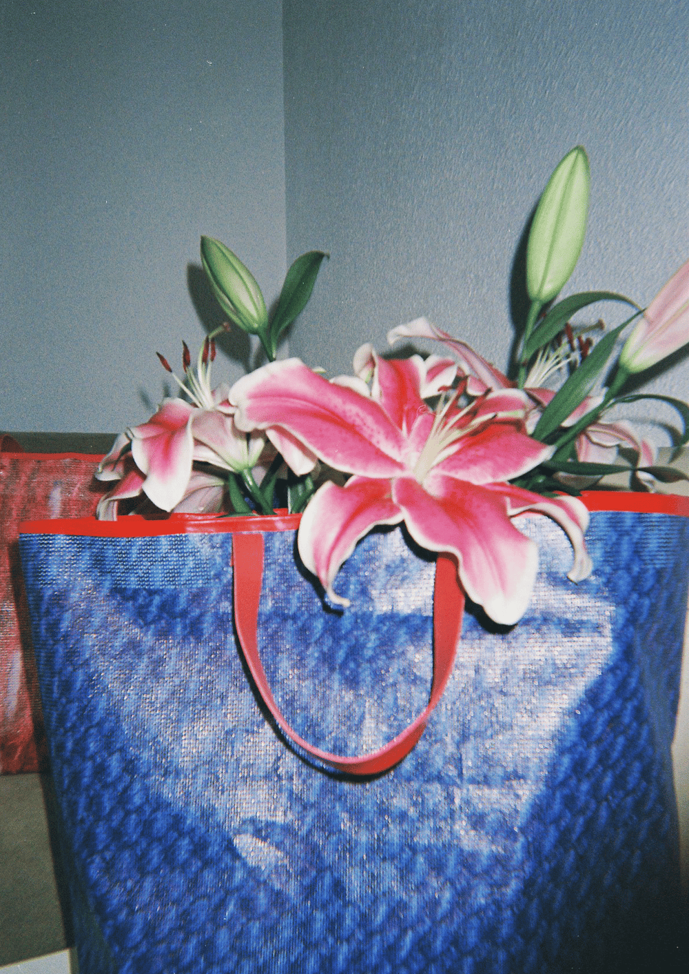 The Care Bag