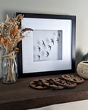 Swift Papercut Framed Artwork