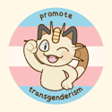 Promote Transgenderism Badge