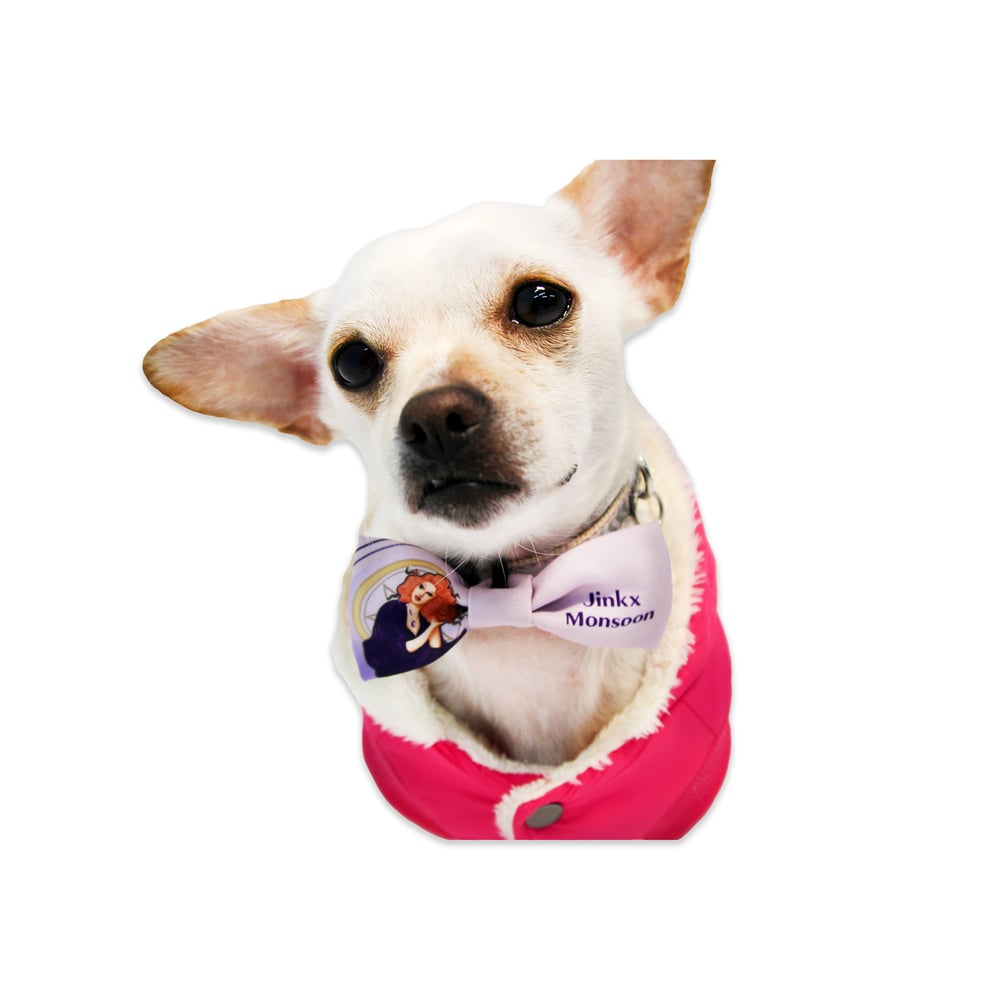 Image of Jinkx Pet Bowtie