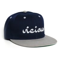Image 1 of Vicious Snapback - Gray & Navy Blue