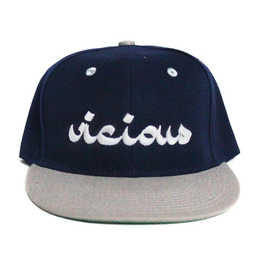 Vicious Snapback - Gray & Navy Blue