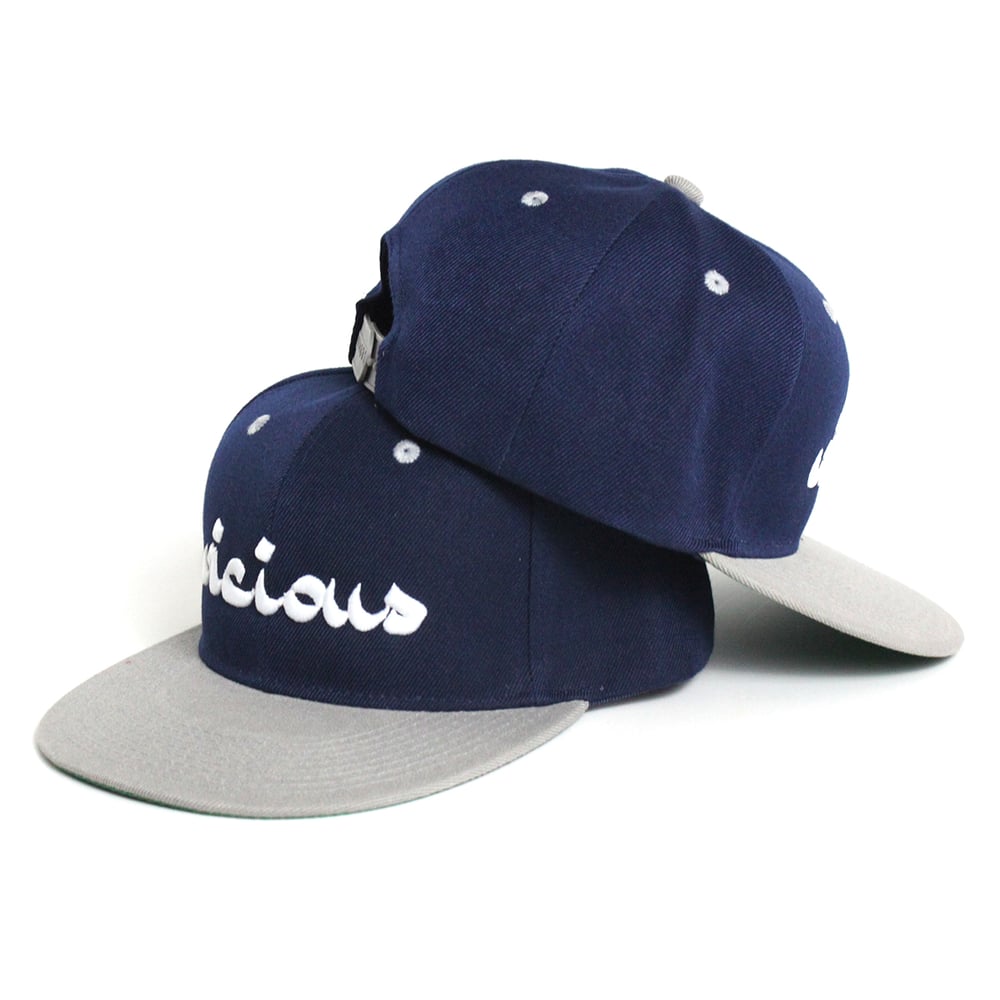 Vicious Snapback - Gray & Navy Blue