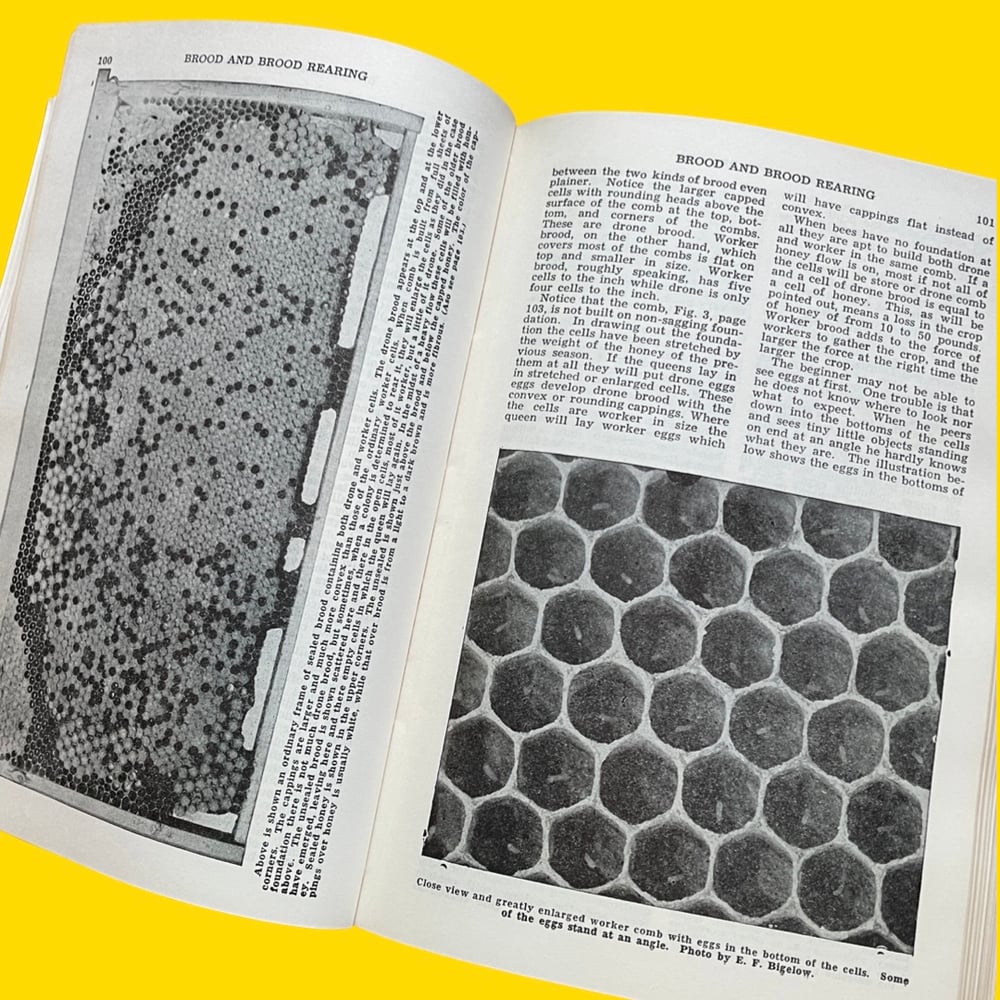 BK: ABC and XYZ of Bee Culture - A.I. Root Library 1959 31st Ed. Leatherbound HB