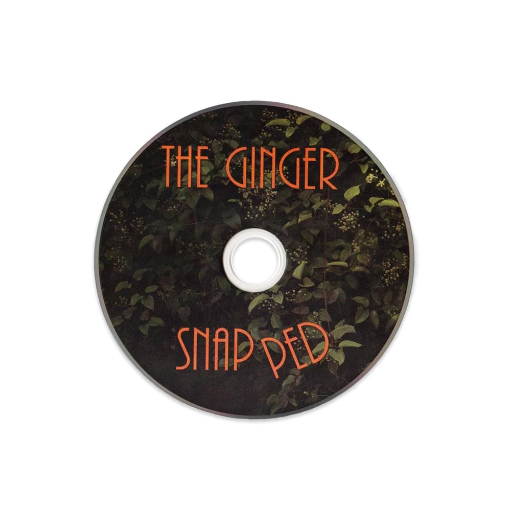 Image of NEW - The Ginger Snapped Physical CD