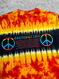 Image 5 of Neil Young & Crazy Horse 2003 ‘Greendale’ Tie Dye T-Shirt
