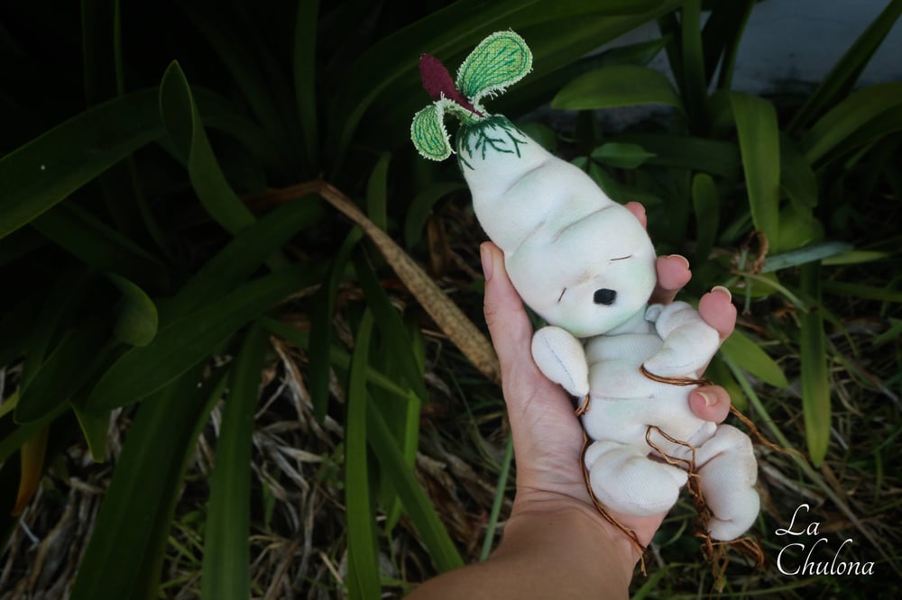 Image of Rooty- 7.5 inch Mandrake Baby